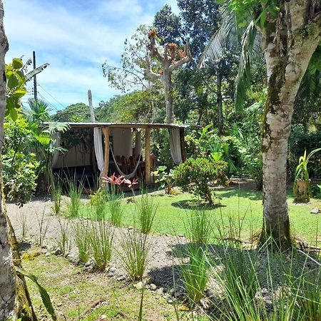 Hotel El Colibri Rojo - Cabinas - Le Colibri Rouge Cahuita Szoba fotó