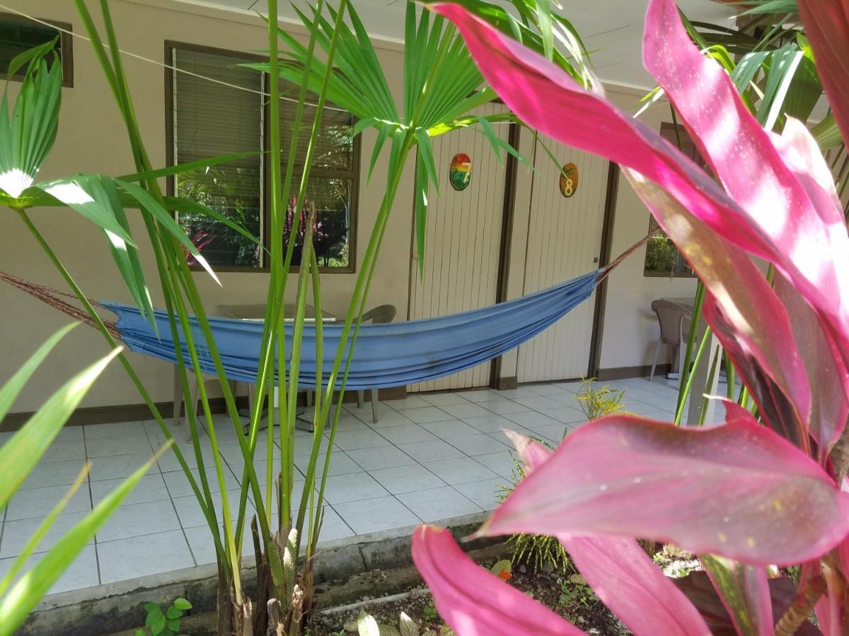 Hotel El Colibri Rojo - Cabinas - Le Colibri Rouge Cahuita Kültér fotó