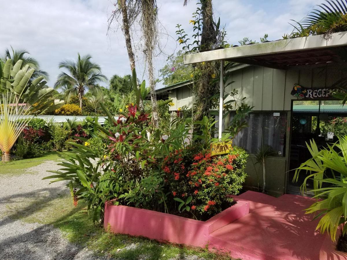 Hotel El Colibri Rojo - Cabinas - Le Colibri Rouge Cahuita Kültér fotó