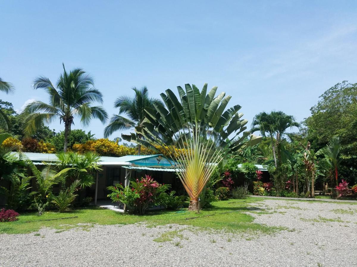 Hotel El Colibri Rojo - Cabinas - Le Colibri Rouge Cahuita Kültér fotó