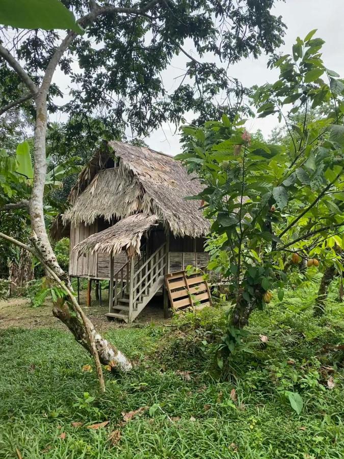 Hotel El Colibri Rojo - Cabinas - Le Colibri Rouge Cahuita Kültér fotó