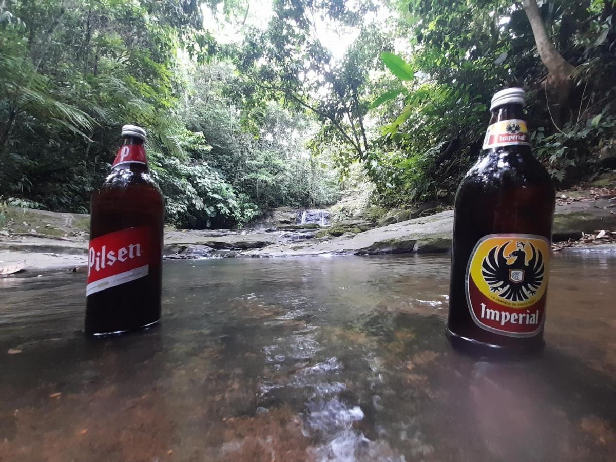 Hotel El Colibri Rojo - Cabinas - Le Colibri Rouge Cahuita Kültér fotó